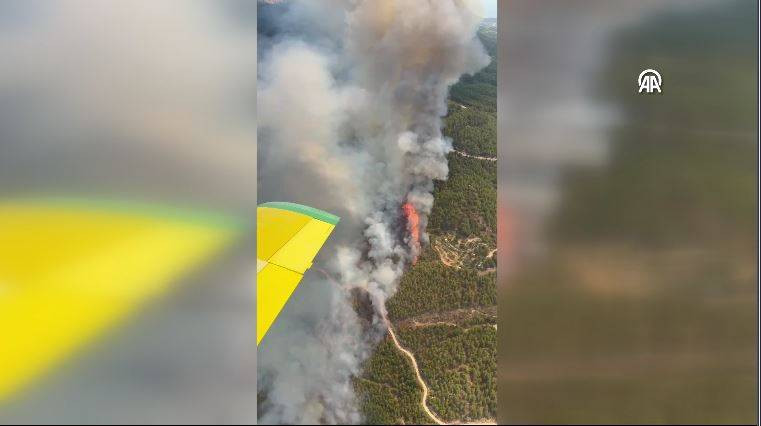 Aydın’ın Çine ilçesinde orman yangını - Resim: 5